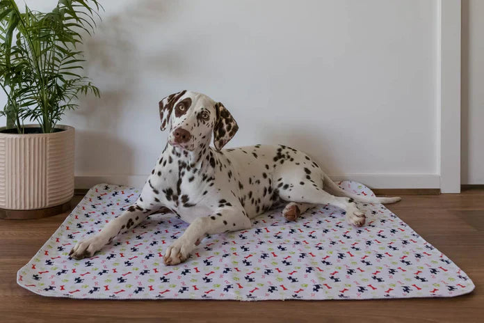 Washable Puppy Pads - Best Way to Clean Them